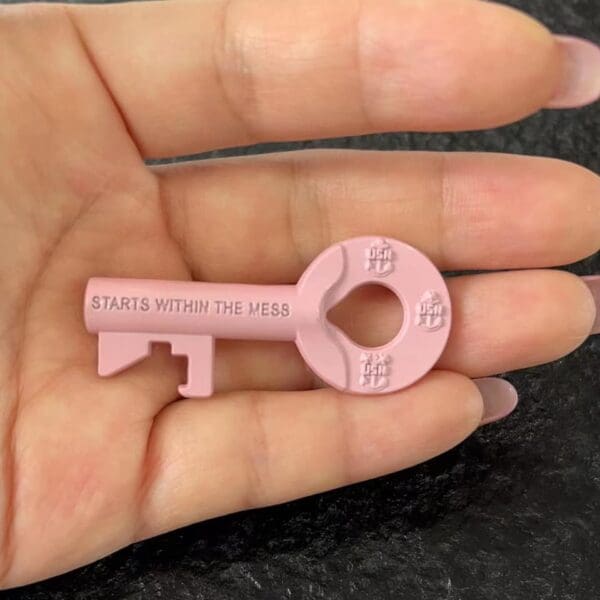 Pink key with "Starts within the mess"